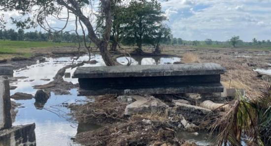 FAO Issues USD 16.5 Mn Emergency Appeal For SL